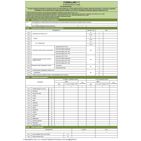 Formularz 11 - Środki techniczne i usługi