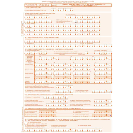ZUS RCA Imienny raport miesięczny o należnych składkach i wypłaconych świadczeniach