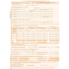 ZUS RCA Imienny raport miesięczny o należnych składkach i wypłaconych świadczeniach