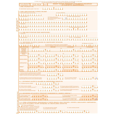 ZUS RCA Imienny raport miesięczny o należnych składkach i wypłaconych świadczeniach